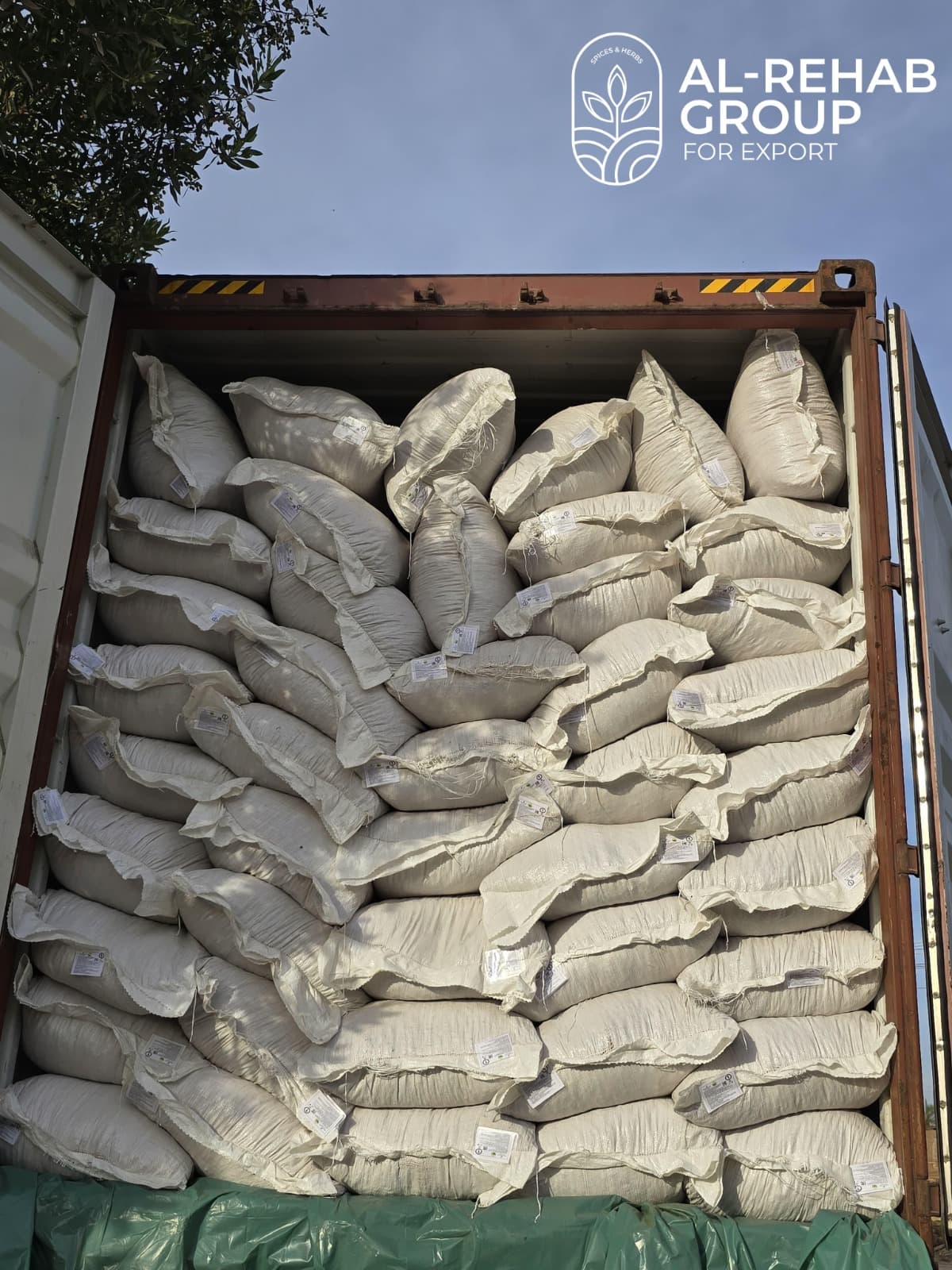 Premium Spices Display