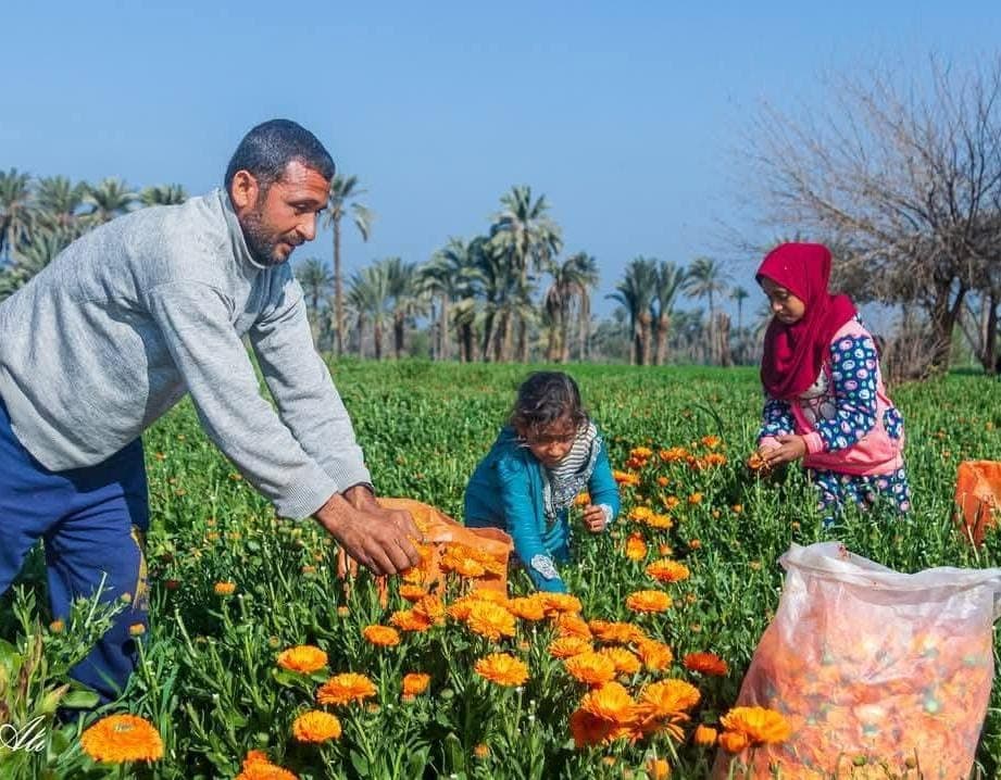 Quality Control Laboratory