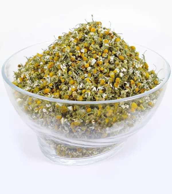 Chamomile