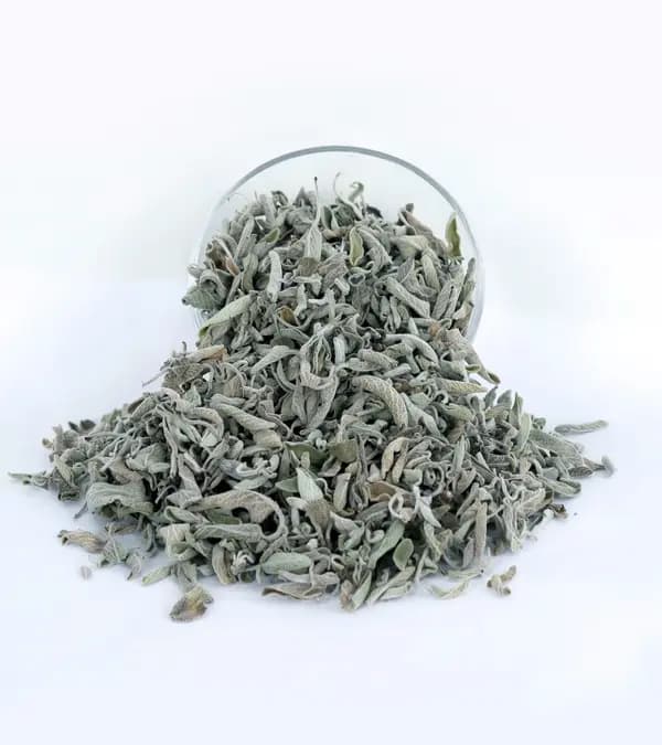 Sage