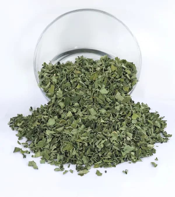 Moringa