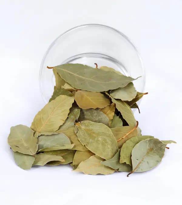 Bay Leaves