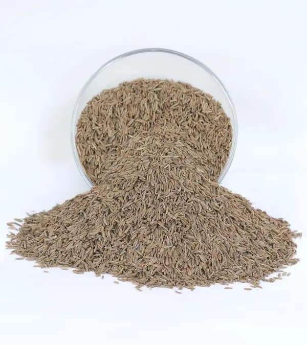 Caraway