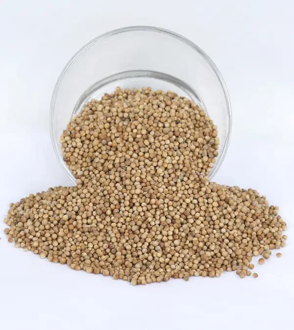 Coriander Seeds